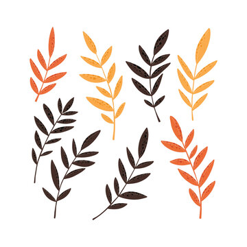 Autumn leaves branch collection with orange yellow and brown foliage elements for seasonal vector design.