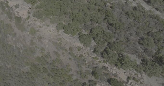 Top-Down Drone View Over Brush-Covered Canyon Slopes