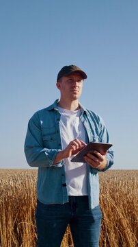 Farmer uses digital tablet to analyze wheat field at countryside