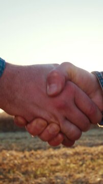 Male farmers handshake against back sunset field after agreement