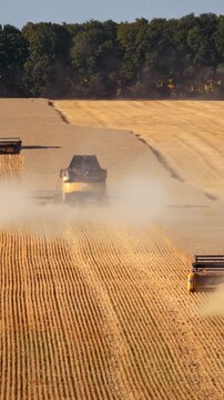 Three combines harvest grain across dusty agricultural field