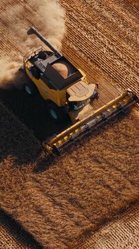 Modern combine harvests curved section of ripe grain field