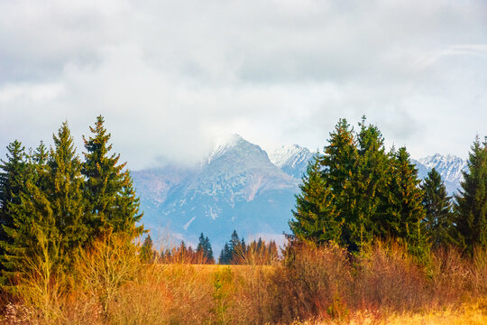 rural fields and trees near Tatra Mountains in autumn. beautiful view of countryside area. gorgeous mountain ridge with high rocky peaks on a cloudy day. fall season in Slovakia