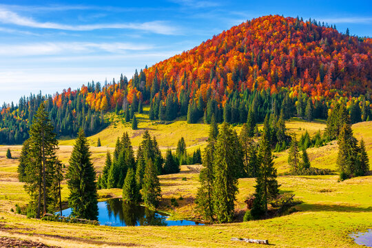 Lake in Carpathian mountains in autumn at sunrise. Mixed forest on hillsides of Apuseni National park in Romania. Bihor Mountain ridge in the distance