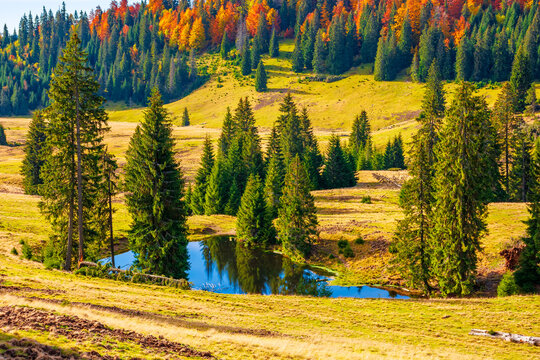 Lake in Carpathian mountains in autumn at sunrise. Mixed forest on hillsides of Apuseni National park in Romania. Bihor Mountain ridge in the distance