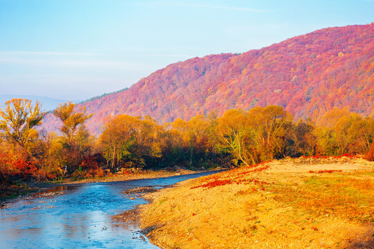 landscape in Carpathian mountains, deciduous forest and a river in front. beautiful morning scenery in autumn