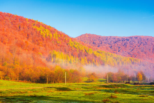 field in rural landscape at sunrise. beautiful nature scenery with colorful trees in morning light. clouds on the sky above the mountain in fog