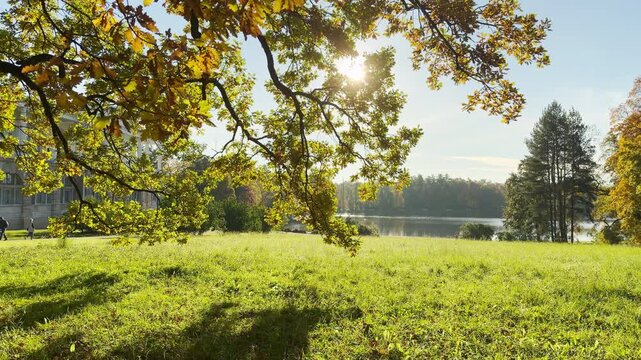 Tracking shot of an autumn park on gimbal. Smooth sideways camera movement reveals the Cameron Gallery in Catherine Park, Pushkin, Saint Petersburg, evoking deep peace.