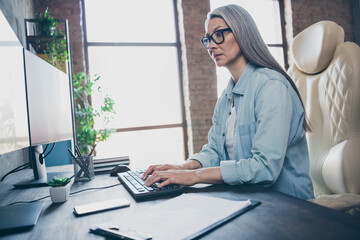 Profile portrait of serious retired lady sitting chair look screen typing code debugging workplace indoors © deagreez