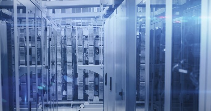 Showing rows of server racks in cool data center with patch panels, bundled cables, LED indicators