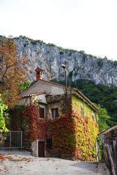 Traditional historic old stone house covered with colorful Boston ivy in Osp village, Slovenia, beneath limestone cliffs, autumn. Rural countryside architecture and climbing vine