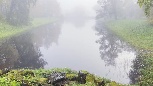 Mossy stones rest along a misty pond in Catherine Park, Pushkin, Saint Petersburg. Foggy trees reflect in calm water, creating a peaceful and serene feeling.