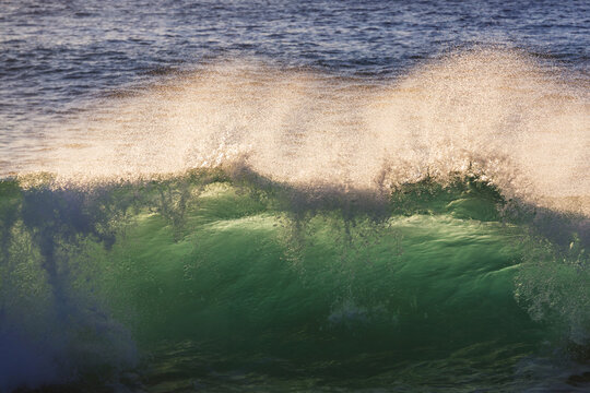 Wave