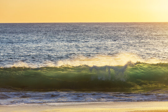 Wave
