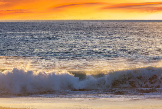 Wave