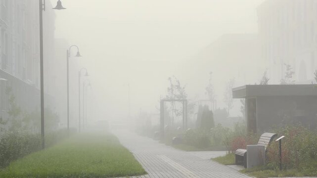 Street lamps line an empty paved path vanishing into heavy fog. The quiet scene creates a mysterious and peaceful mood. Experience a foggy morning in Pushkin, Saint Petersburg.