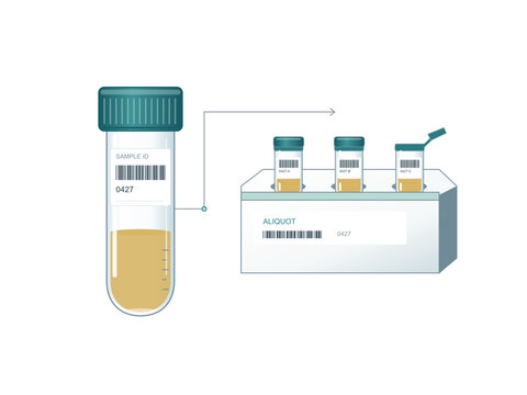 Parent sample tube and labeled microtubes in an aliquot rack