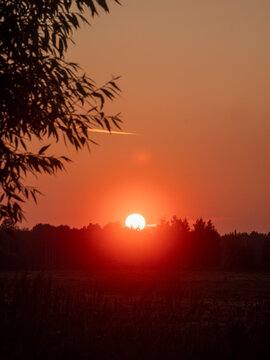 Sunset with orange sky and silhouetted trees. Single airplane trail crosses the sky. Trees and grasses frame the horizon. Sun dips below tree line. Nature scene during dusk