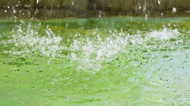 Water droplets splashing into green algae pool in slow motion