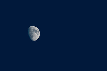 Gibbous moon against a deep blue night sky © Floren Horcajo