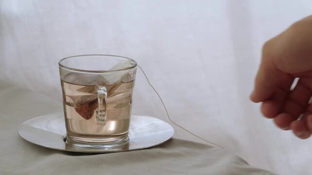 Brewing herbal tea in glass cup with teabag on table