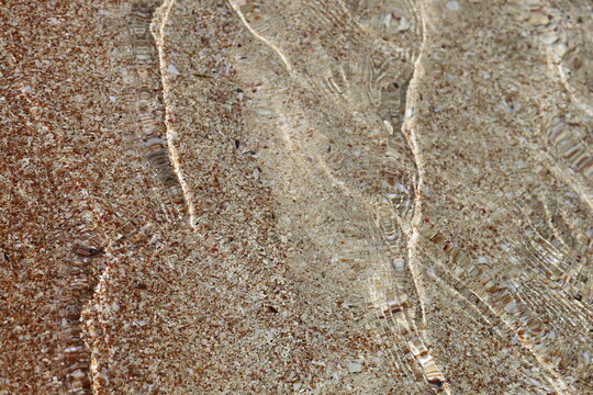 Clear shallow seawater with sun caustic light refractions over a sandy beach and small seashells, transparent water texture background