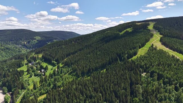 Stunning aerial panorama captures dense evergreen forest draped over rolling hills, narrow grassy trail winding up mountainside, scattered clearings and distant valley under clear sun.