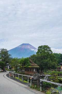 日本の風景【山梨県】夏の富士山と忍野八海