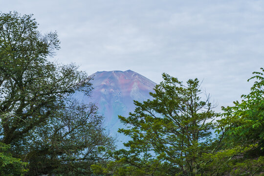 日本の風景【山梨県】忍野八海から見る夏の富士山