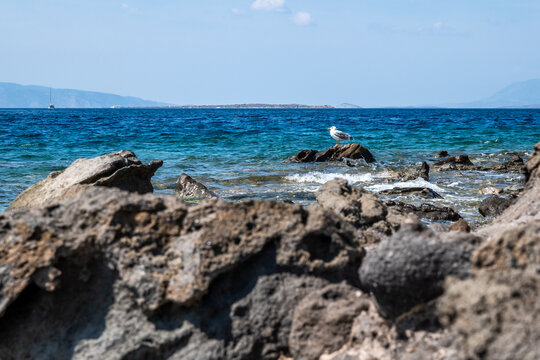 Clear turquoise waters lap against the rugged rocky shore near Perdika village on Aegina Island, offering a scenic view of Moni Island and distant sailboats in the Saronic Gulf.

