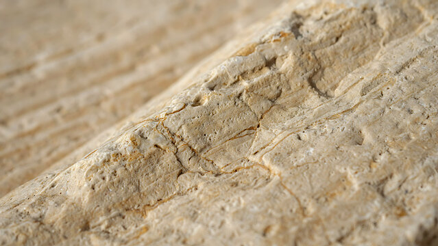 The image shows a macro close-up of a layered, light-tan to beige sedimentary rock surface with natural parallel strata and fine hairline cracks