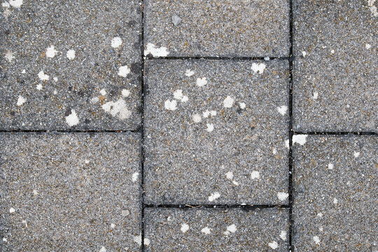 Crustose lichen on pavers outside. Top view of outside surface with many  white circular spots. Concept for hot to clean lichen or fungus. Luzern, Switzerland. Selective focus.