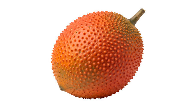 Gac fruit isolated on white background, fresh orange baby jackfruit with spiky skin, tropical gac fruit for healthy juice and culinary use