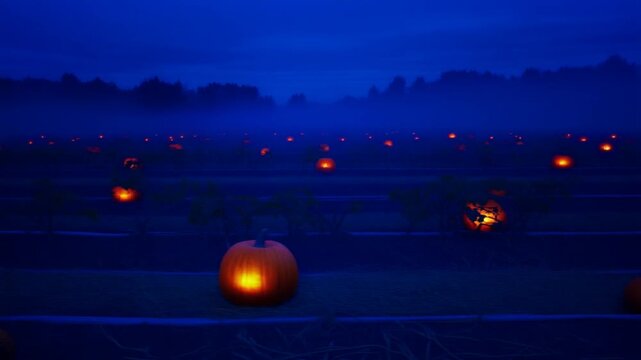 Mist over a pumpkin patch at dusk