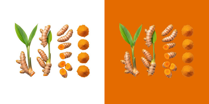 Fresh turmeric roots and powder spice arranged in a clean flat lay pattern