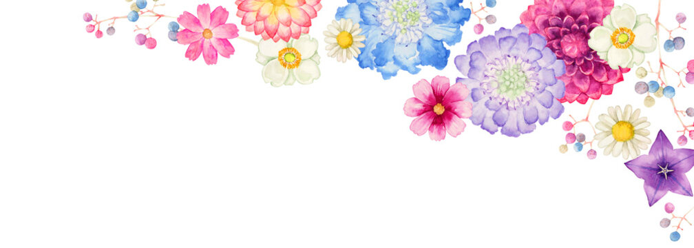 秋の花 植物　背景 フレーム 横長　水彩 イラスト