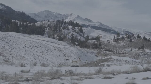 Slow Pan Across Snowy Foothills and Mountain Peaks