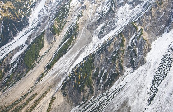 Yellow larches between green trees, steep mountainside with snow and scree, Karwendel, Tyrol, Austria