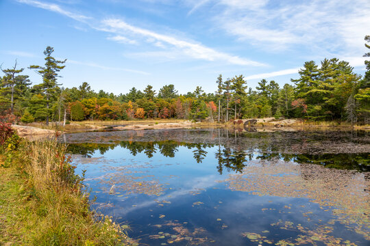 Stunning autumn trees reflect in a serene pond along Killarney's Lighthouse Trail.