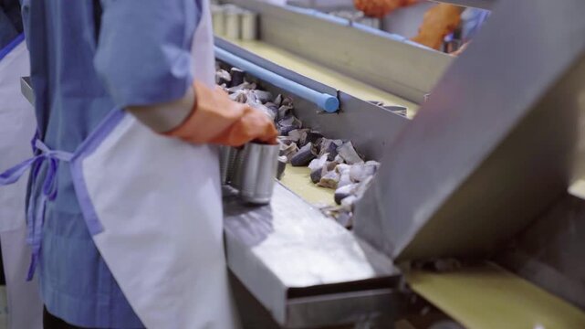 Seafood factory worker packing fish into cans along conveyor belt line