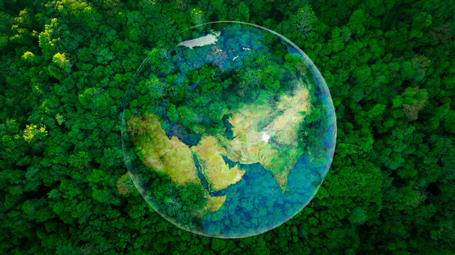 Atmospheric aerial view of the green forest with the earth Demonstrate the concept of preserving the top ecosystem and natural environment and Save Earth.	
