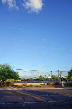 Clear blue sky with a distant moon over an empty asphalt parking lot lined with desert vegetation and palm trees, Phoenix, Arizona; copy space