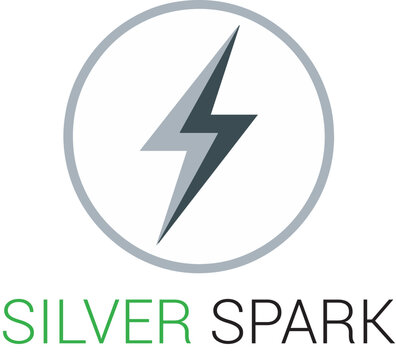 Silver Spark Abstract Lightning Logo