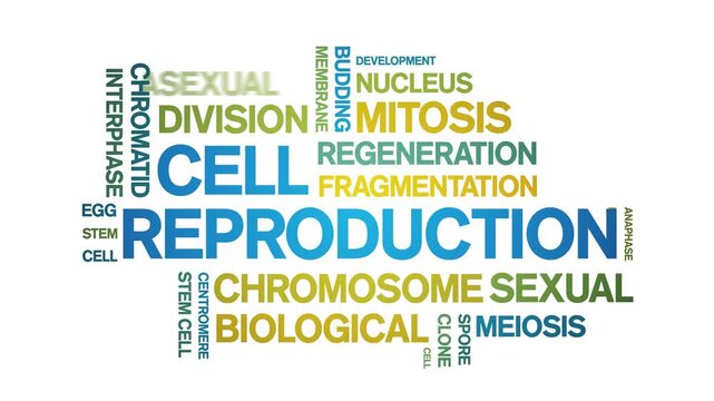 Cell Reproduction animated word cloud-animation tag kinetic typography seamless loop.