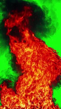 Intense wall of fire with large flickering flames rising vertically on a solid green screen backdrop