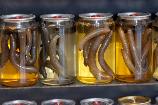 Preserved worms in liquid inside transparent soda cans on shelf