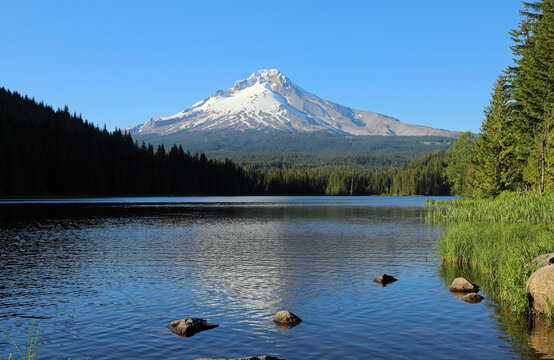 Mt Hood on Trillium Lake - Oregon
