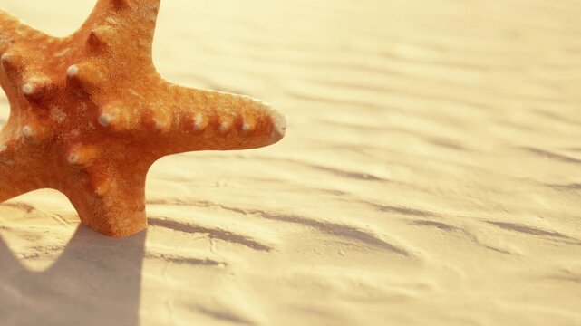 Bright orange starfish rests on smooth wet sand at a beach under warm sunlight during daytime, creating a clear shadow on the ground
