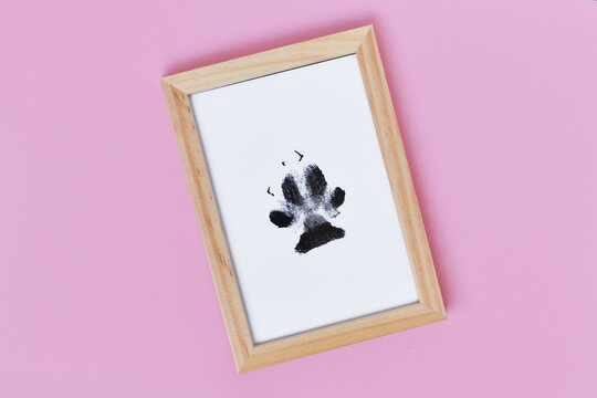 Dog paw prints in picture frame on pink background