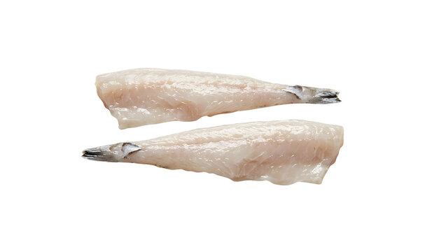 Two fresh raw white fish fillets with small tail skins for gourmet cooking preparation